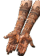 IMG 1